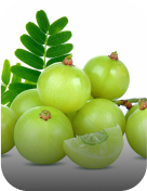 Ingrediants Ingrediants