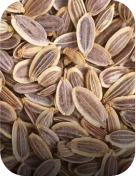 Ingrediants Ingrediants