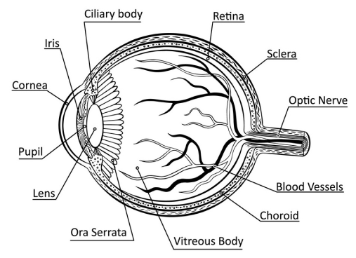 eye-related issues