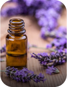 Ingrediants Ingrediants