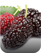 Ingrediants Ingrediants