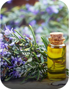 Ingrediants Ingrediants