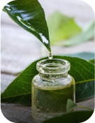 Ingrediants Ingrediants