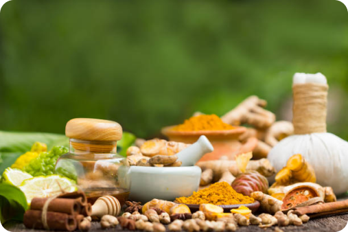 Key Ingredients of immune booster