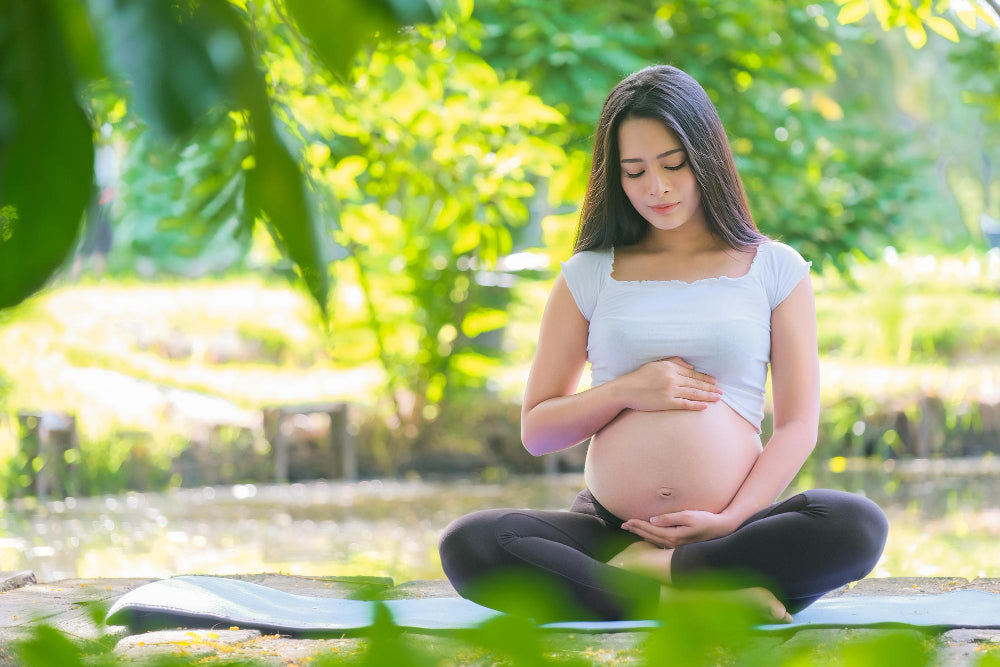 The Role of Ayurvedic Herbs in Supporting a Healthy Pregnancy