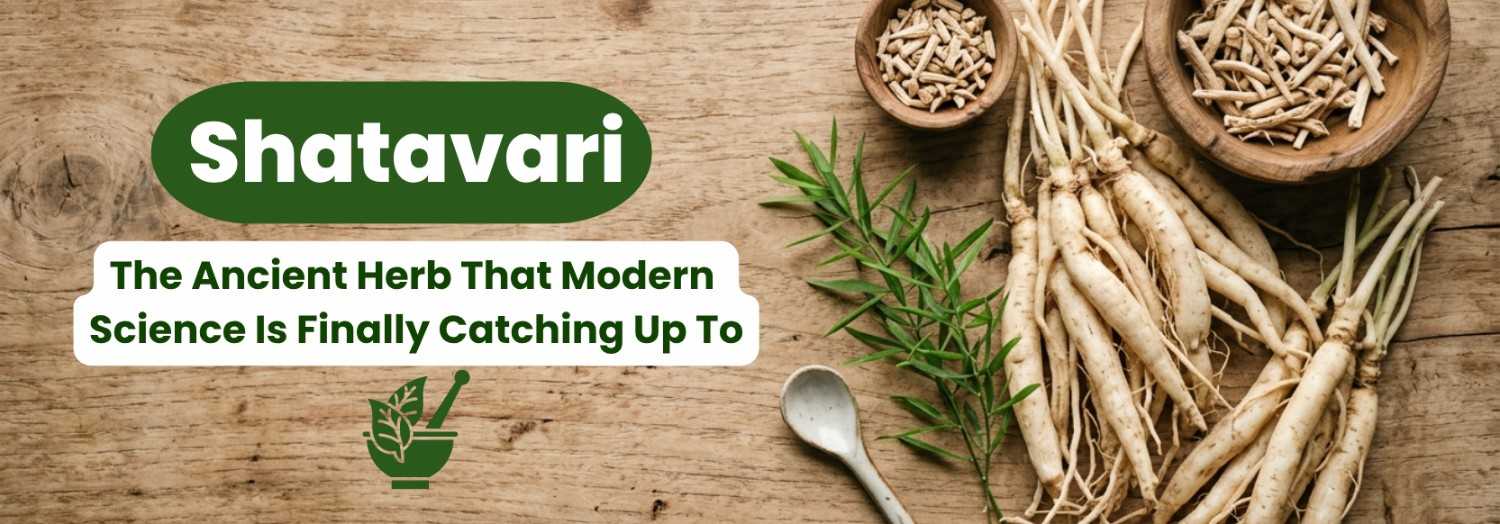 Shatavari for Women’s Health: Ancient Ayurvedic Herb Backed by Modern ...