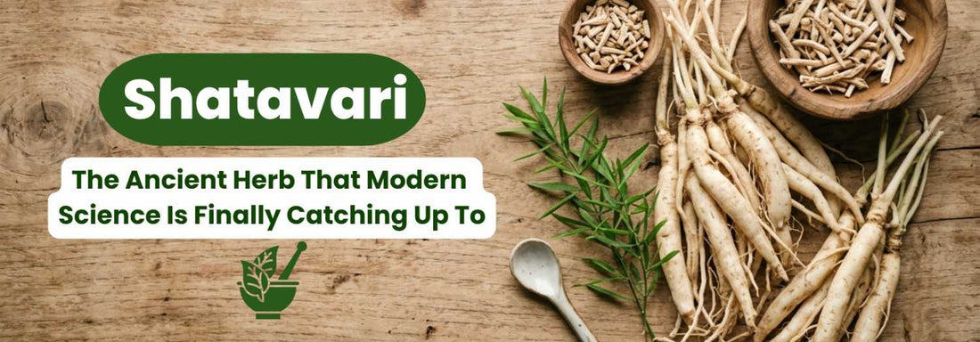 Shatavari — The Ancient Herb That Modern Science Is Finally Catching Up To