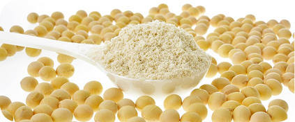 Isoflavones (genistein, daidzein)