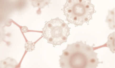Research Image